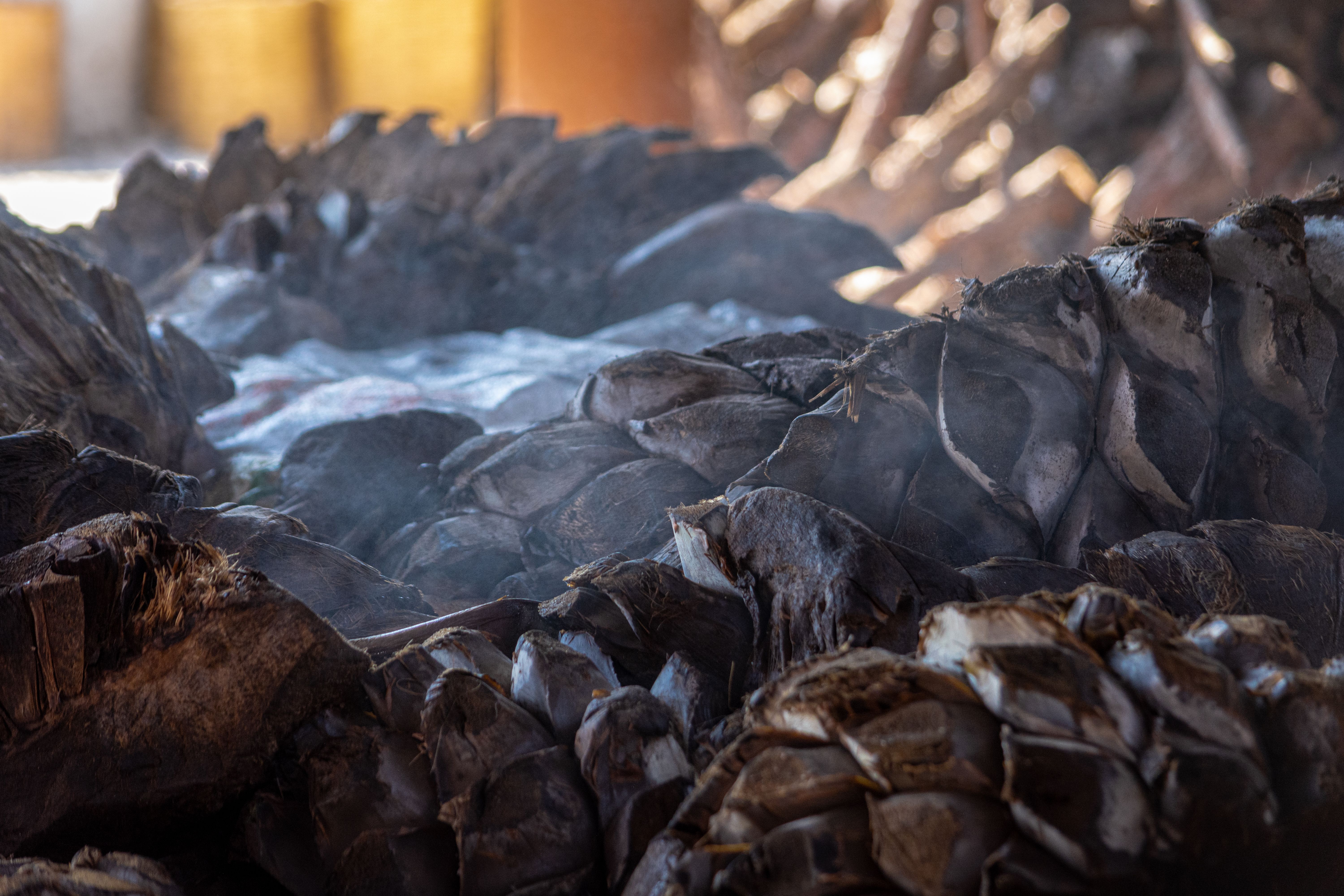 Proceso de elaboración de tequila LYMZA — certificado CRT, NOM y 100% agave azul